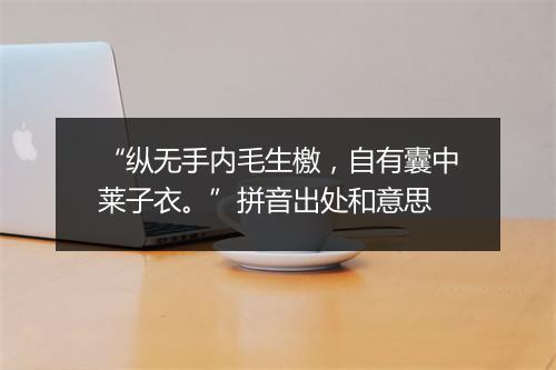 “纵无手内毛生檄，自有囊中莱子衣。”拼音出处和意思