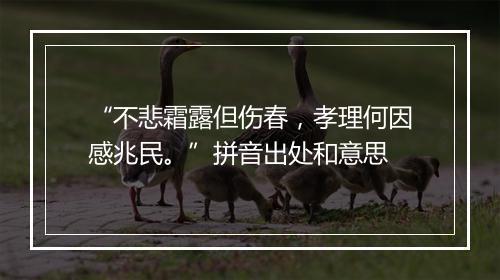 “不悲霜露但伤春，孝理何因感兆民。”拼音出处和意思