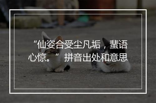 “仙姿合受尘凡垢，蜚语心惊。”拼音出处和意思