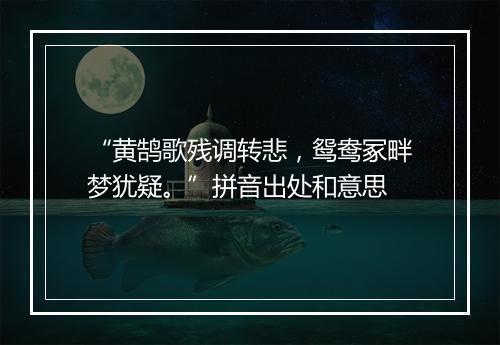 “黄鹄歌残调转悲，鸳鸯冢畔梦犹疑。”拼音出处和意思