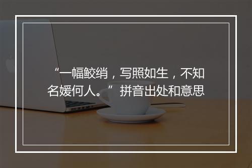 “一幅鲛绡，写照如生，不知名媛何人。”拼音出处和意思