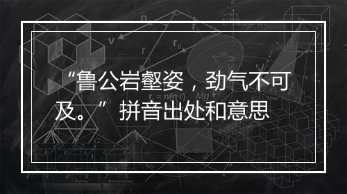 “鲁公岩壑姿，劲气不可及。”拼音出处和意思