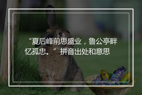 “夏后峰前思盛业，鲁公亭畔忆孤忠。”拼音出处和意思