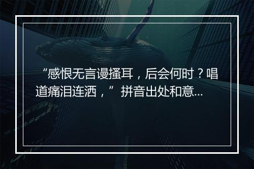 “感恨无言谩搔耳，后会何时？唱道痛泪连洒，”拼音出处和意思