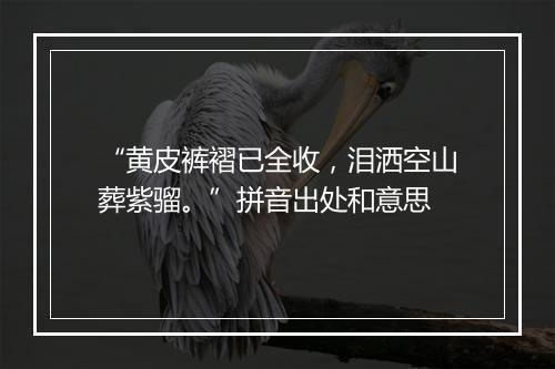 “黄皮裤褶已全收，泪洒空山葬紫骝。”拼音出处和意思