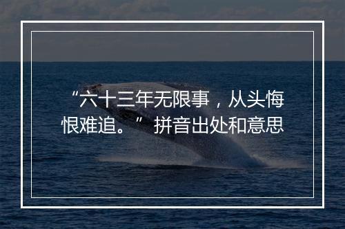 “六十三年无限事，从头悔恨难追。”拼音出处和意思