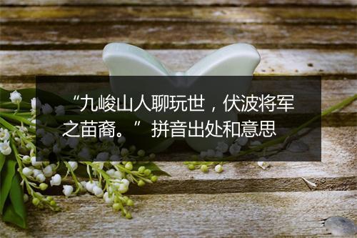 “九峻山人聊玩世，伏波将军之苗裔。”拼音出处和意思