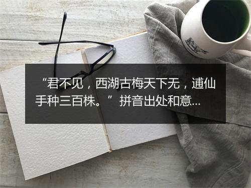 “君不见，西湖古梅天下无，逋仙手种三百株。”拼音出处和意思