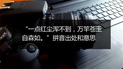 “一点红尘浑不到，万竿苍玉自森如。”拼音出处和意思