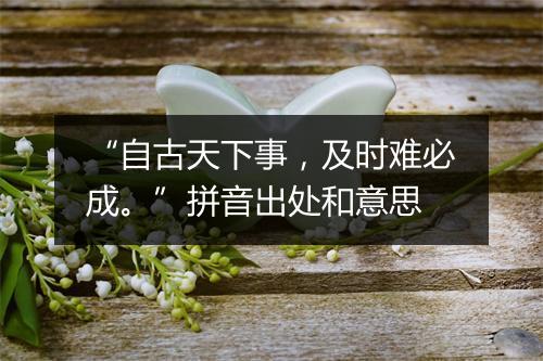 “自古天下事，及时难必成。”拼音出处和意思