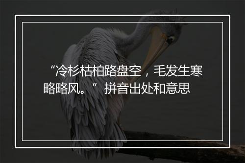 “冷杉枯柏路盘空，毛发生寒略略风。”拼音出处和意思