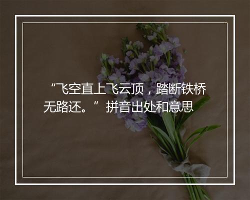 “飞空直上飞云顶，踏断铁桥无路还。”拼音出处和意思