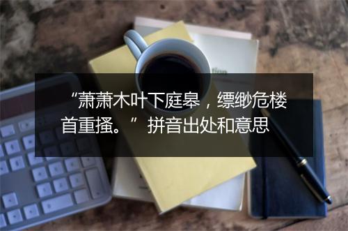 “萧萧木叶下庭皋，缥缈危楼首重搔。”拼音出处和意思