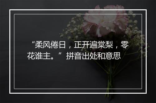 “柔风倦日，正开遍棠梨，零花谁主。”拼音出处和意思