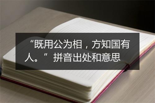 “既用公为相，方知国有人。”拼音出处和意思