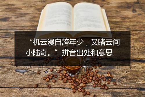 “机云漫自誇年少，又睹云间小陆奇。”拼音出处和意思