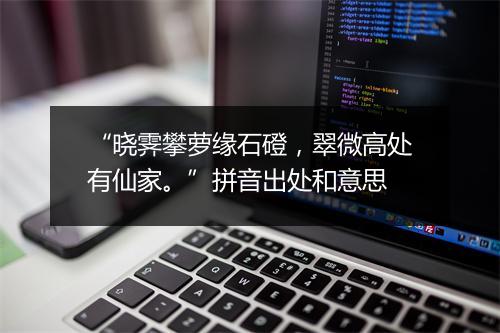 “晓霁攀萝缘石磴，翠微高处有仙家。”拼音出处和意思