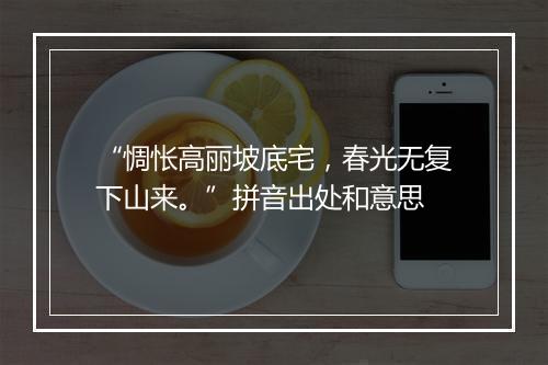 “惆怅高丽坡底宅，春光无复下山来。”拼音出处和意思