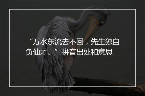 “万水东流去不回，先生独自负仙才。”拼音出处和意思