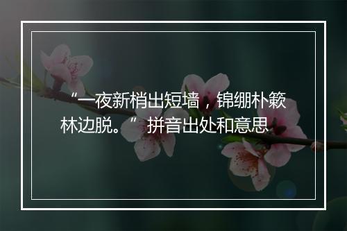 “一夜新梢出短墙，锦绷朴簌林边脱。”拼音出处和意思