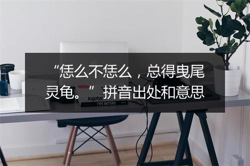 “恁么不恁么，总得曳尾灵龟。”拼音出处和意思