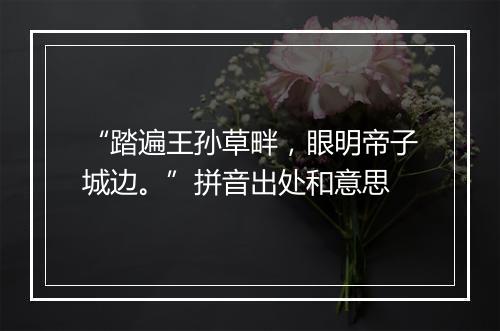 “踏遍王孙草畔，眼明帝子城边。”拼音出处和意思