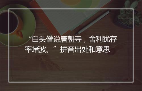 “白头僧说唐朝寺，舍利犹存率堵波。”拼音出处和意思