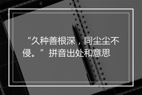 “久种善根深，同尘尘不侵。”拼音出处和意思