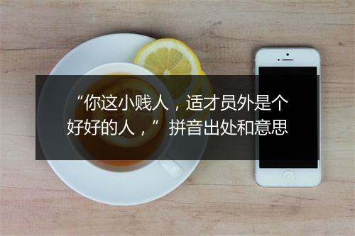 “你这小贱人，适才员外是个好好的人，”拼音出处和意思