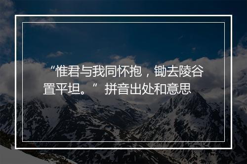 “惟君与我同怀抱，锄去陵谷置平坦。”拼音出处和意思