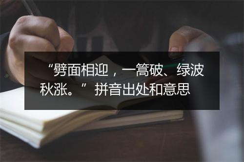 “劈面相迎，一篙破、绿波秋涨。”拼音出处和意思