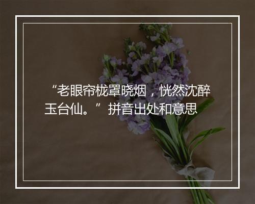 “老眼帘栊罩晓烟，恍然沈醉玉台仙。”拼音出处和意思