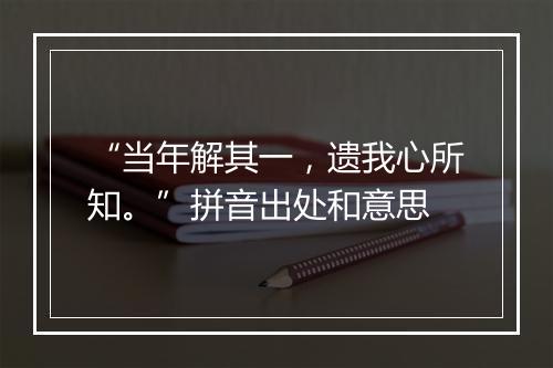 “当年解其一，遗我心所知。”拼音出处和意思