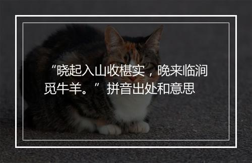 “晓起入山收椹实，晚来临涧觅牛羊。”拼音出处和意思