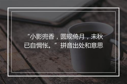 “小影兜香，圆规倚月，未秋已自惆怅。”拼音出处和意思