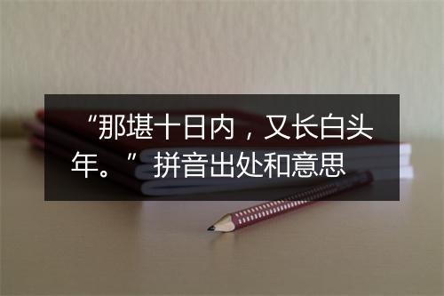 “那堪十日内，又长白头年。”拼音出处和意思