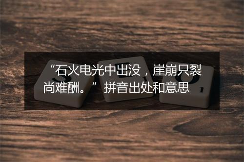 “石火电光中出没，崖崩只裂尚难酬。”拼音出处和意思