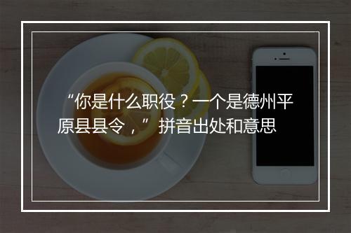 “你是什么职役？一个是德州平原县县令，”拼音出处和意思