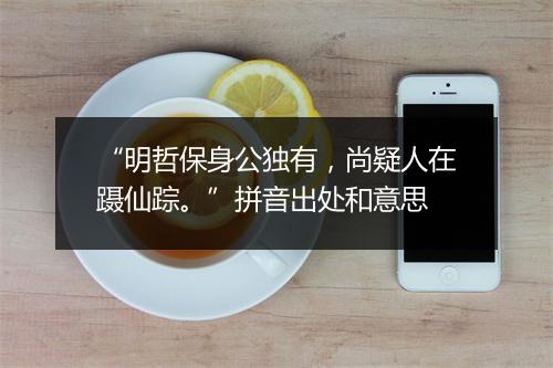 “明哲保身公独有，尚疑人在蹑仙踪。”拼音出处和意思