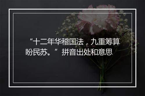 “十二年华稽国法，九重筹算盼民苏。”拼音出处和意思