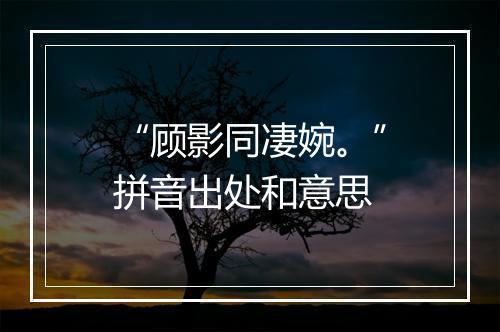 “顾影同凄婉。”拼音出处和意思