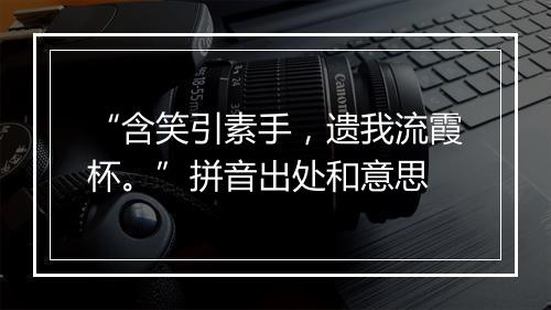 “含笑引素手，遗我流霞杯。”拼音出处和意思