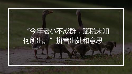 “今年老小不成群，赋税未知何所出。”拼音出处和意思