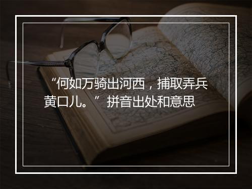 “何如万骑出河西，捕取弄兵黄口儿。”拼音出处和意思