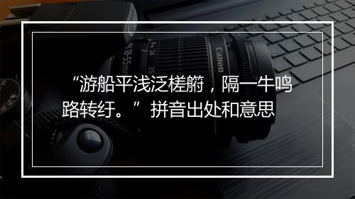 “游船平浅泛槎䒀，隔一牛鸣路转纡。”拼音出处和意思