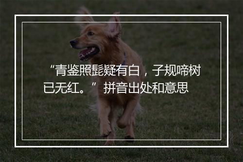 “青鉴照髭疑有白，子规啼树已无红。”拼音出处和意思