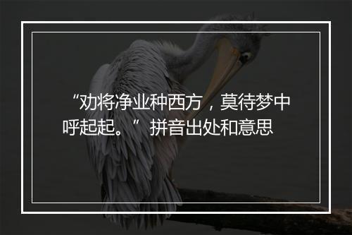 “劝将净业种西方，莫待梦中呼起起。”拼音出处和意思