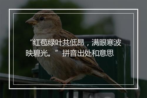 “红苞绿叶共低昂，满眼寒波映碧光。”拼音出处和意思