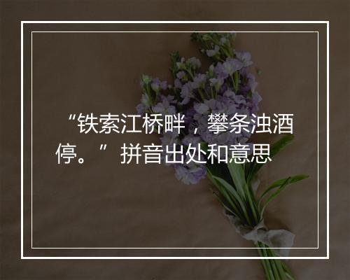 “铁索江桥畔，攀条浊酒停。”拼音出处和意思