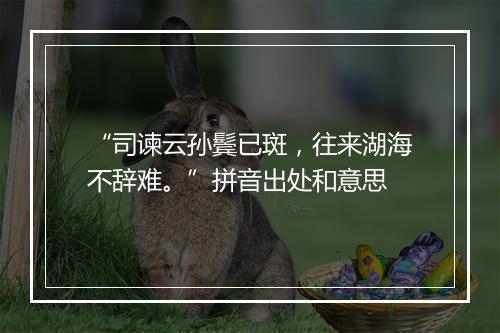 “司谏云孙鬓已斑，往来湖海不辞难。”拼音出处和意思